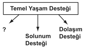 Soru 3 görseli