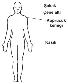 Soru 7 görseli