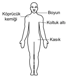 Soru 6 görseli