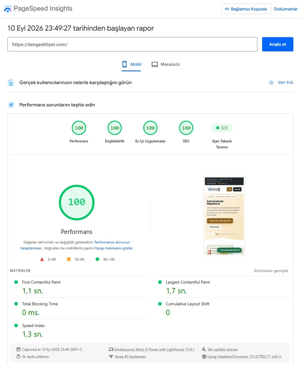 PageSpeed Insights mobil sonucu