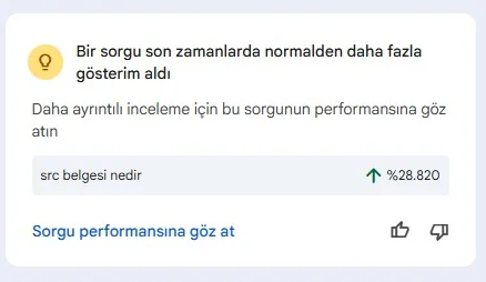 Search Console bildirimi