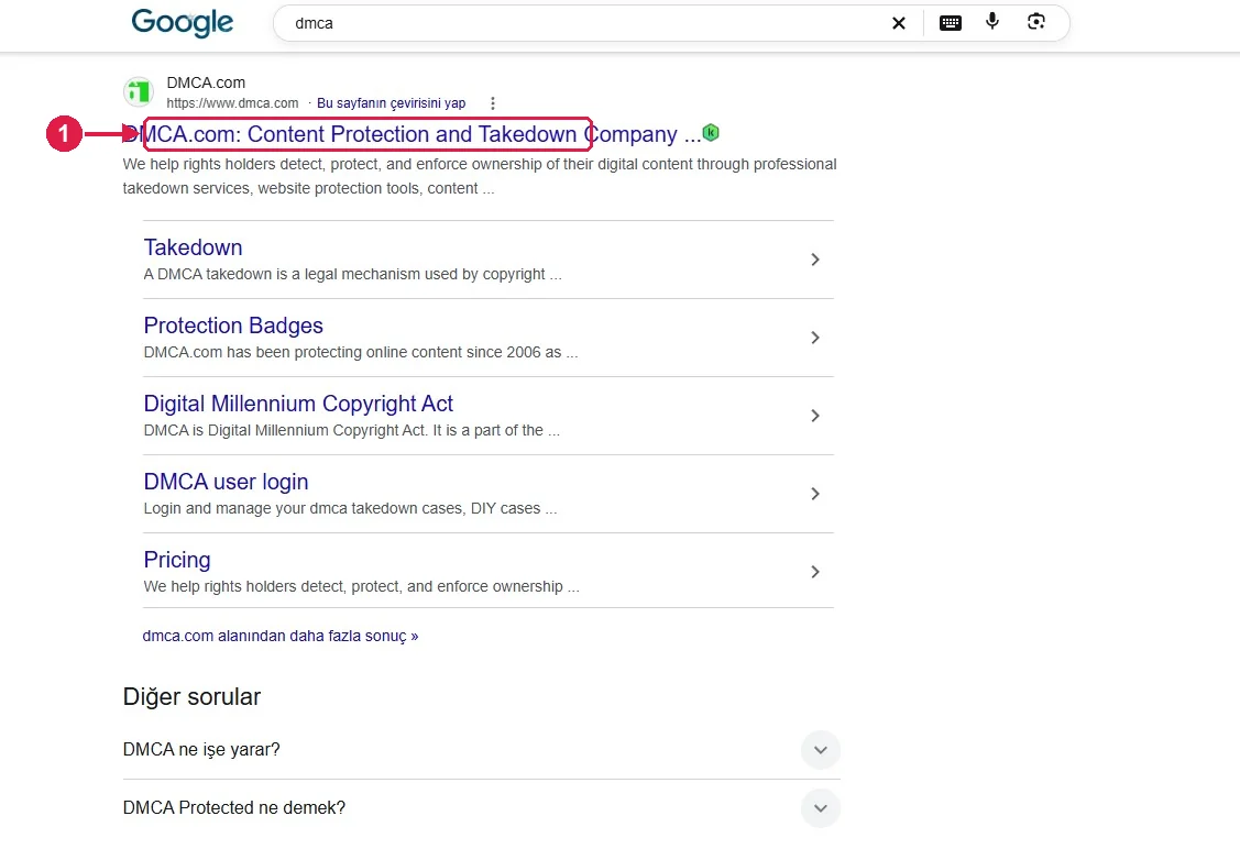 SRC Kursu için DMCA kurulumu, adım 1 – DMCA.com’u açın