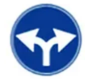Sağa ve sola mecburi yön levhası (TT-35f)